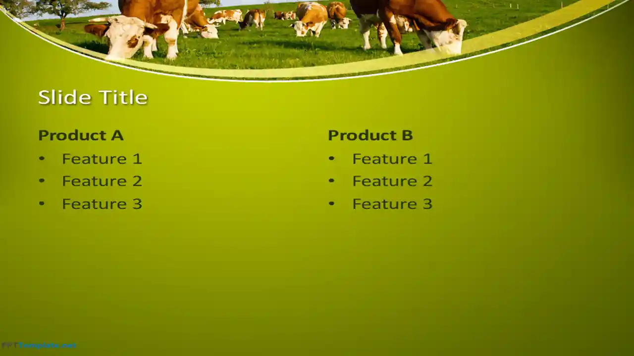 Free Cows PPT Template