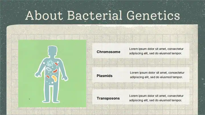 Bacterial Genetics Lecture Slides