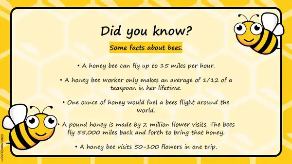 Bees are awesome. Interactive choice board and mini theme.