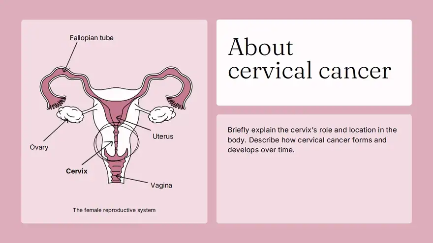 Cervical Cancer Slides