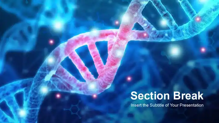 DNA Gene Biotechnology PowerPoint Templates