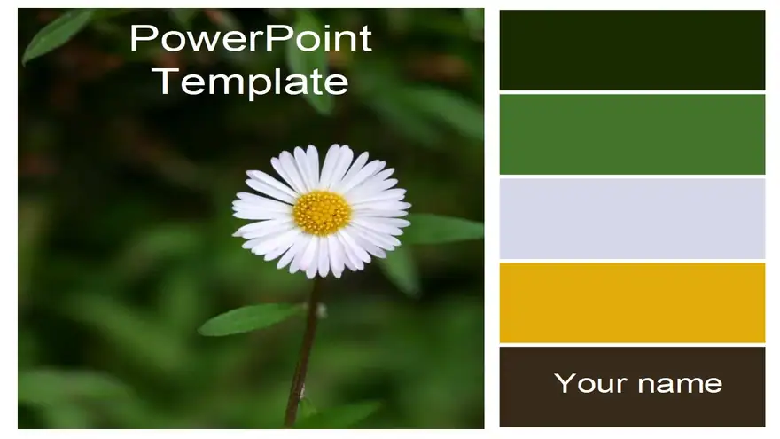 Fresh as a Daisy Template