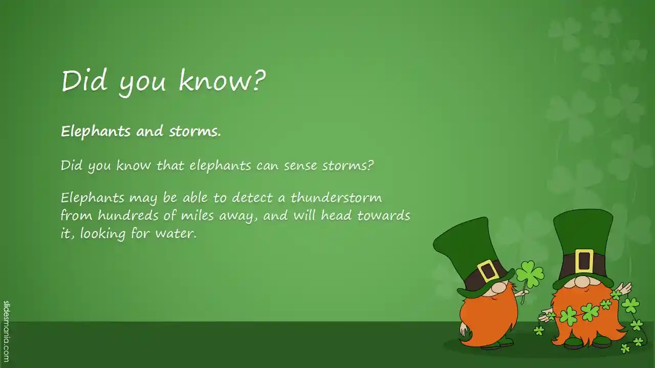 Happy Saint Patrick’s Day slides theme.