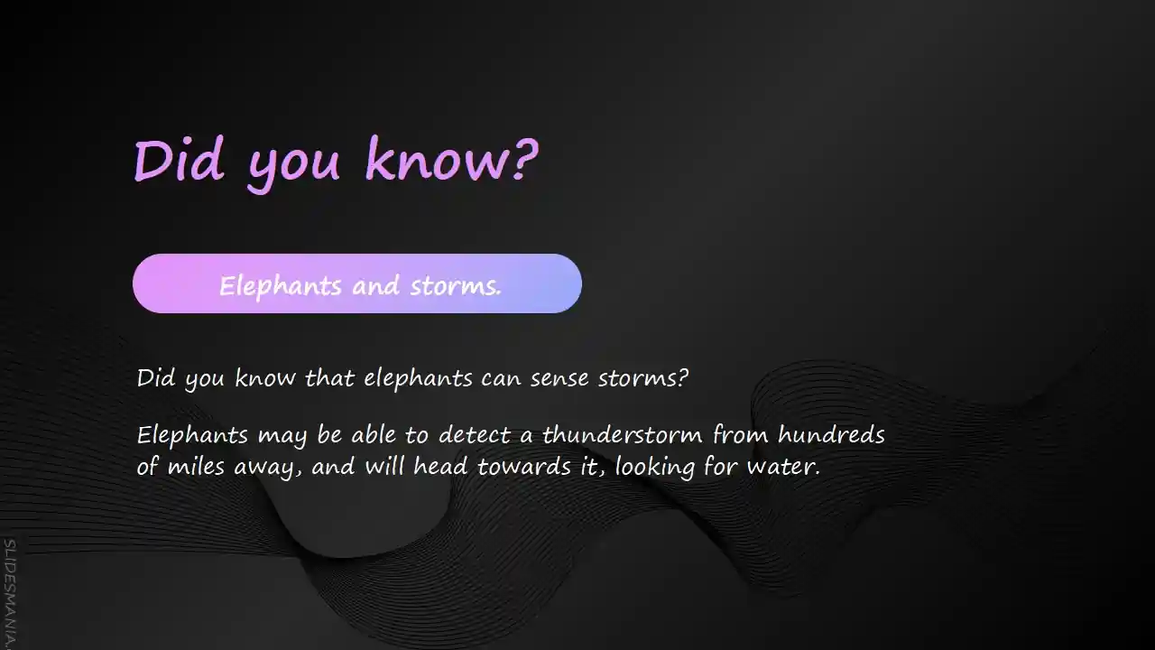 Hendrix, modern dark slides theme.
