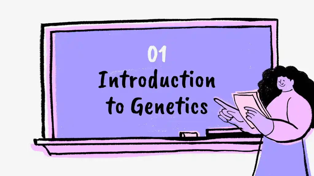 Heredity Genetics Slides