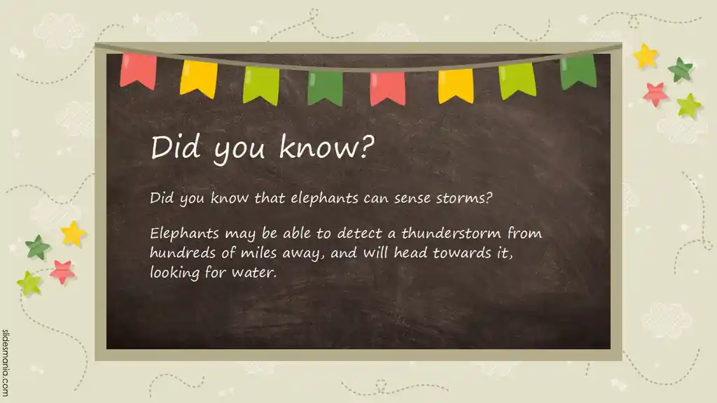 Joyful Chalkboard presentation template.
