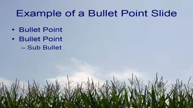 Maize PowerPoint template