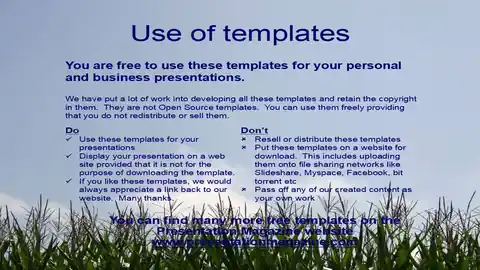 Maize PowerPoint template
