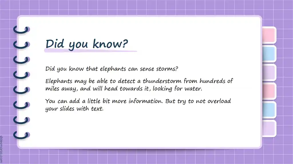 Pastel Notebook free presentation ppt, Canva template and Google Slides theme.
