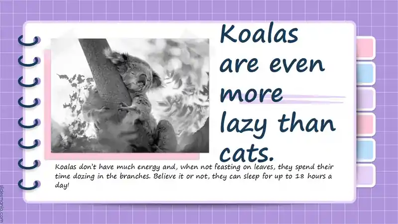 Pastel Notebook free presentation ppt, Canva template and Google Slides theme.
