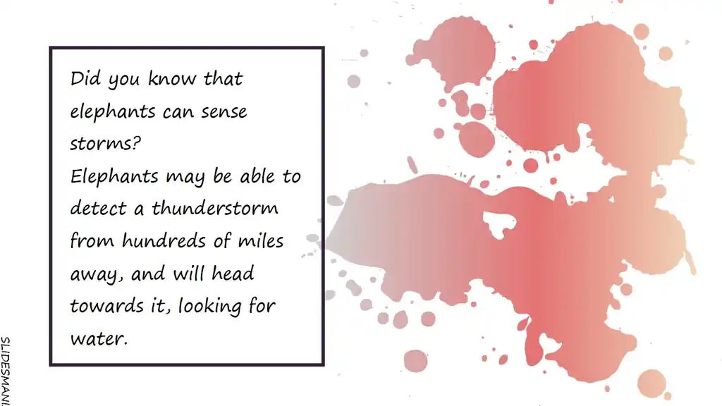 Pollock, paint splashes slides backgrounds.