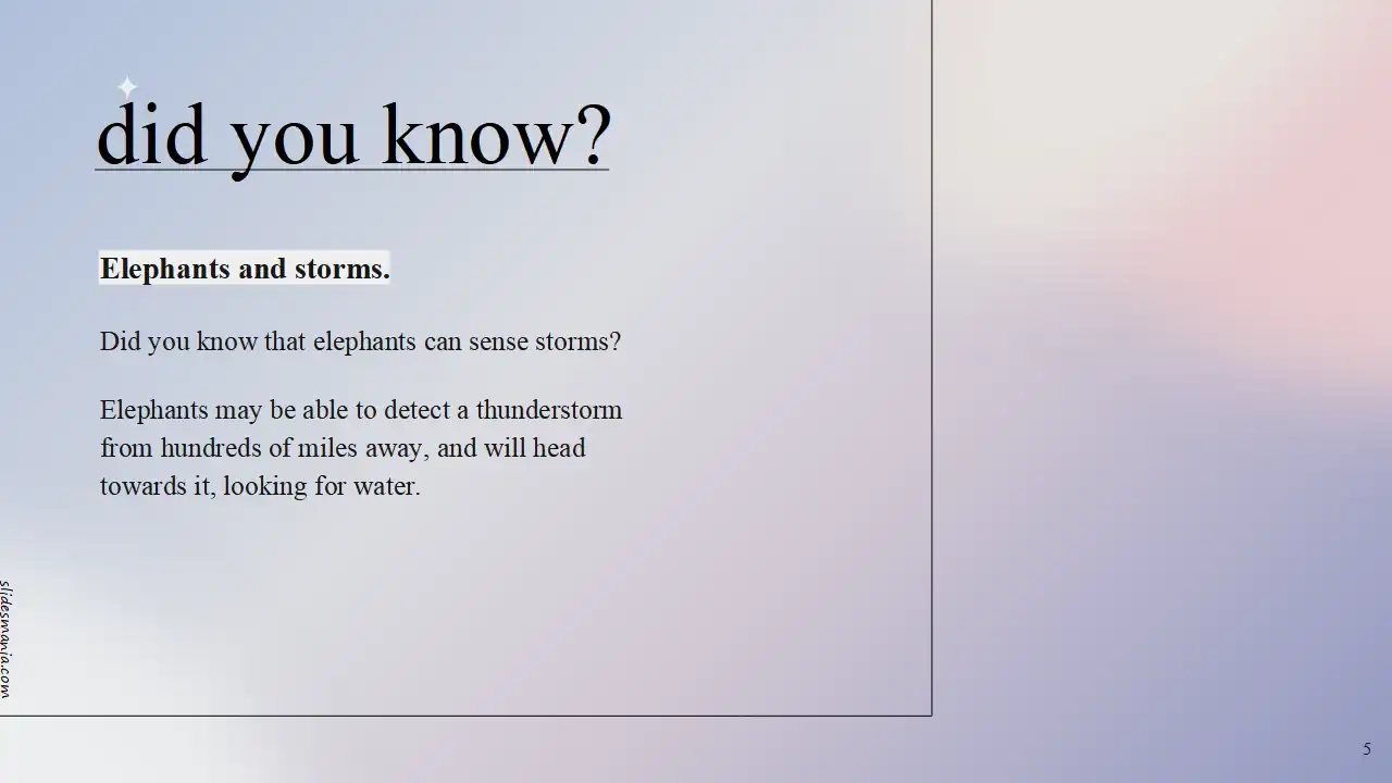 Quinn, minimalist and elegant slides.