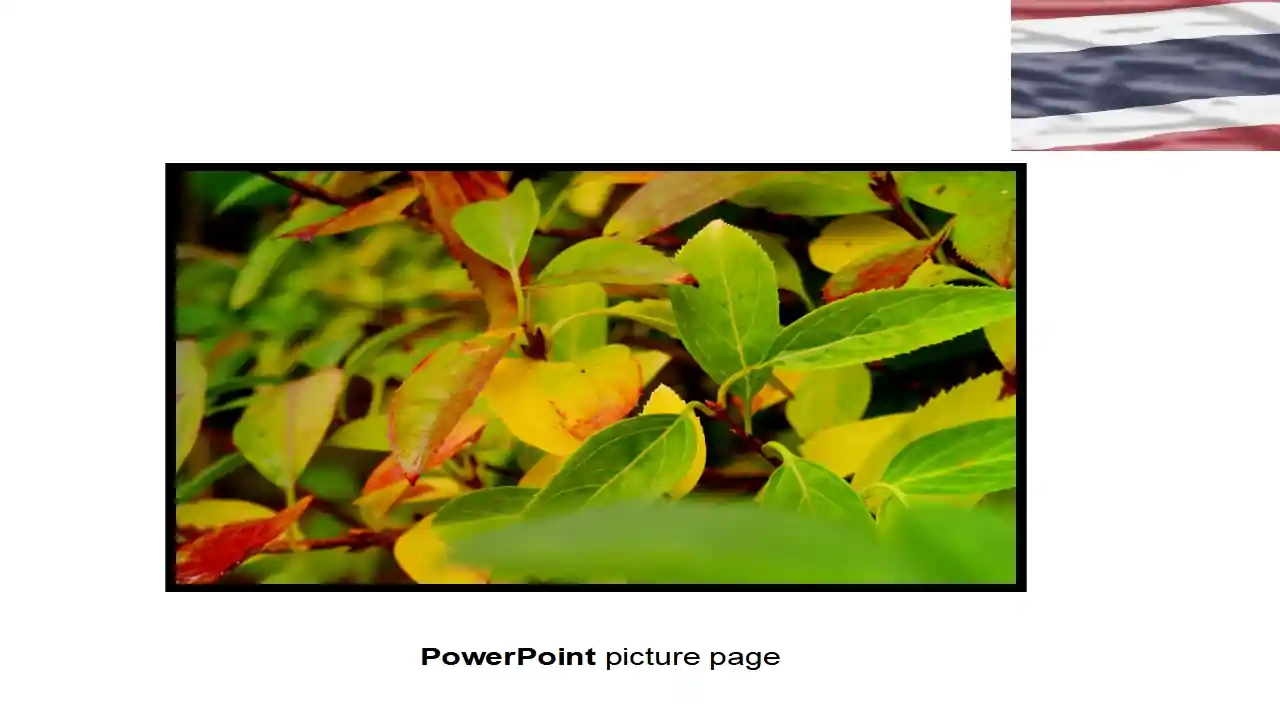 Thailand Flag PowerPoint Template
