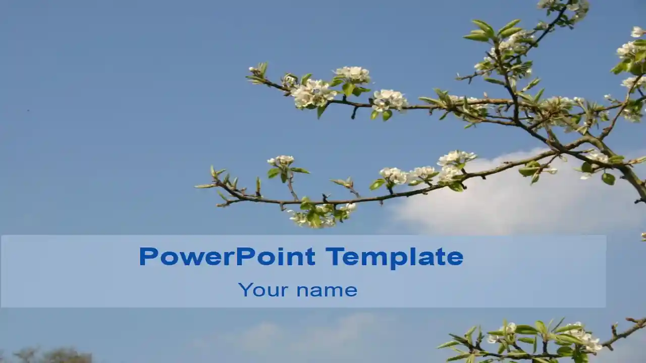Tree Against Sky Template