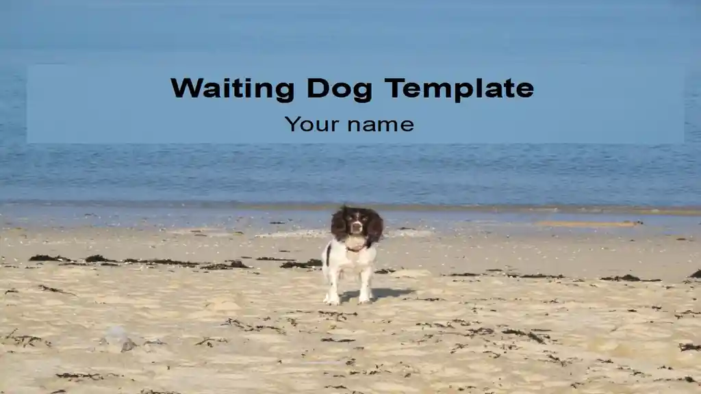 Waiting Dog PowerPoint Template